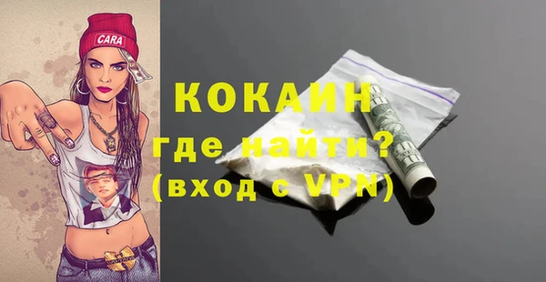 спиды Бородино