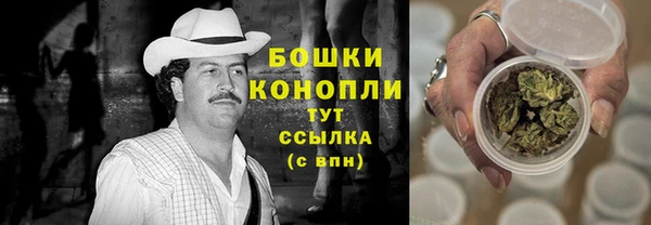 спиды Бородино