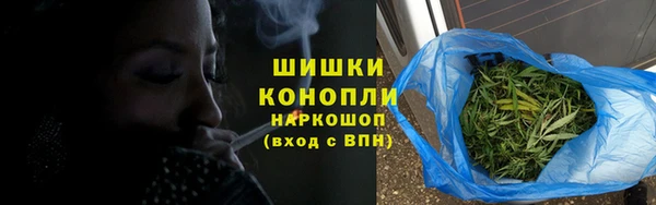 спиды Бородино