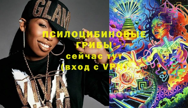 спиды Бородино