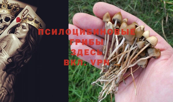 спиды Бородино