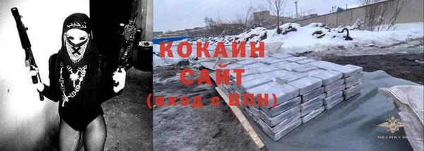 спиды Бородино