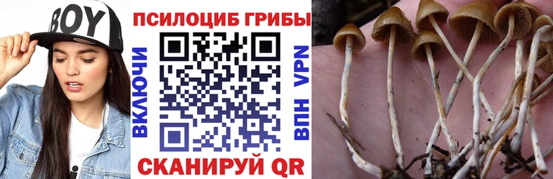 Галлюциногенные грибы Cubensis  Северск 